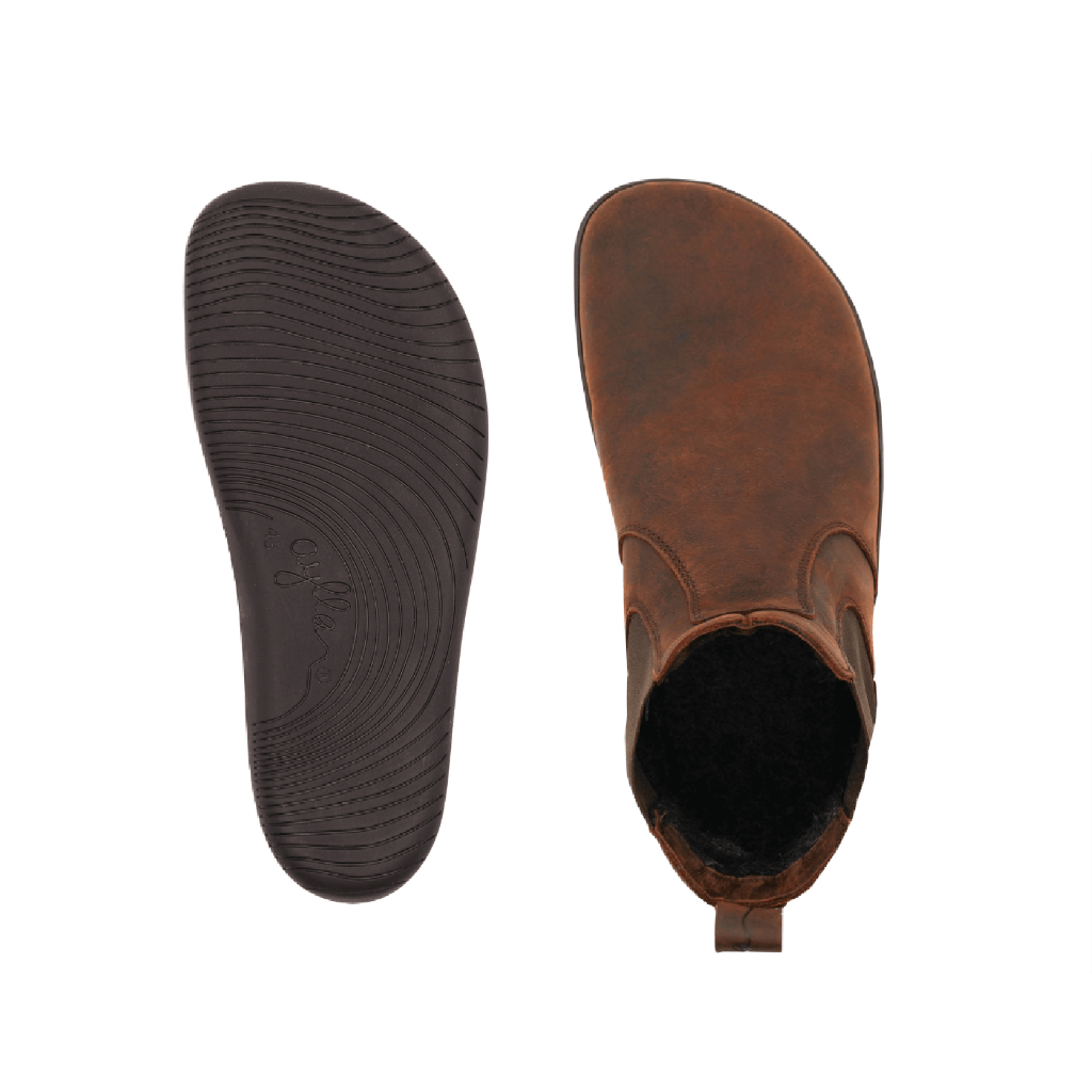 Aylla UMA Men's Brown