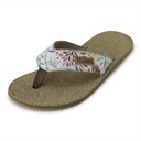 411072-flower_Terrar_Toe_oben.jpg