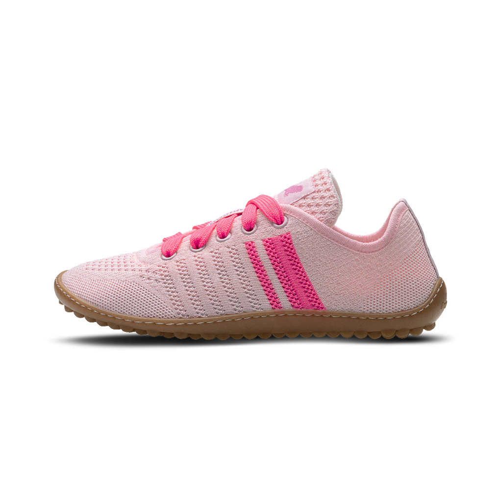 Leguano Caribeo Rose